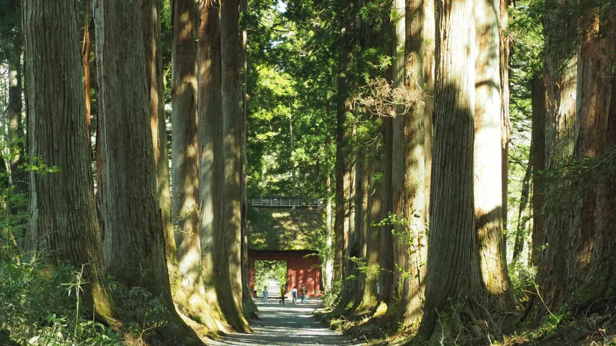 Toyoko Inn Nagano Eki Zenkoji Guchi Bagian luar foto